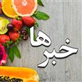 نمایشگاه فعالیت های هنری تابستان