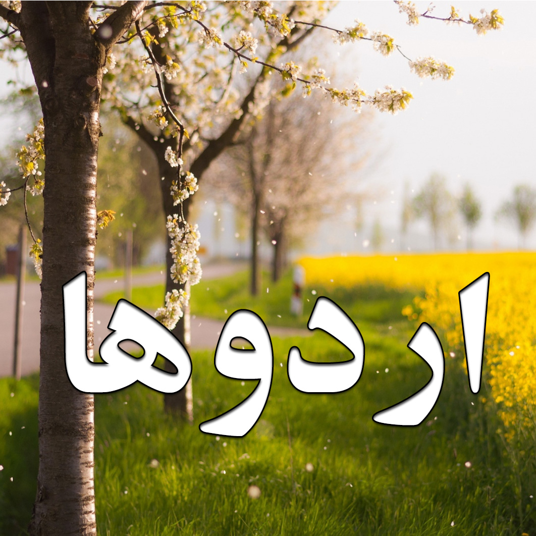 اردوی پینت بال پایه هفتم